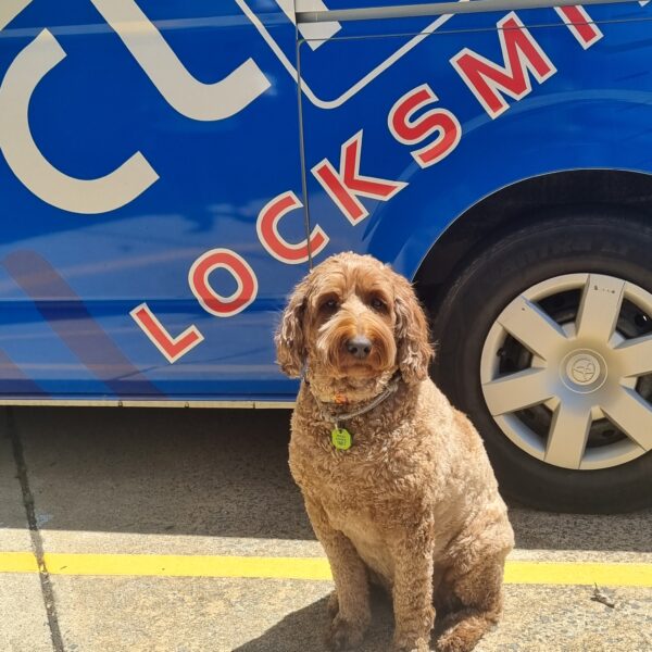 CLASS Locksmith latest apprentice